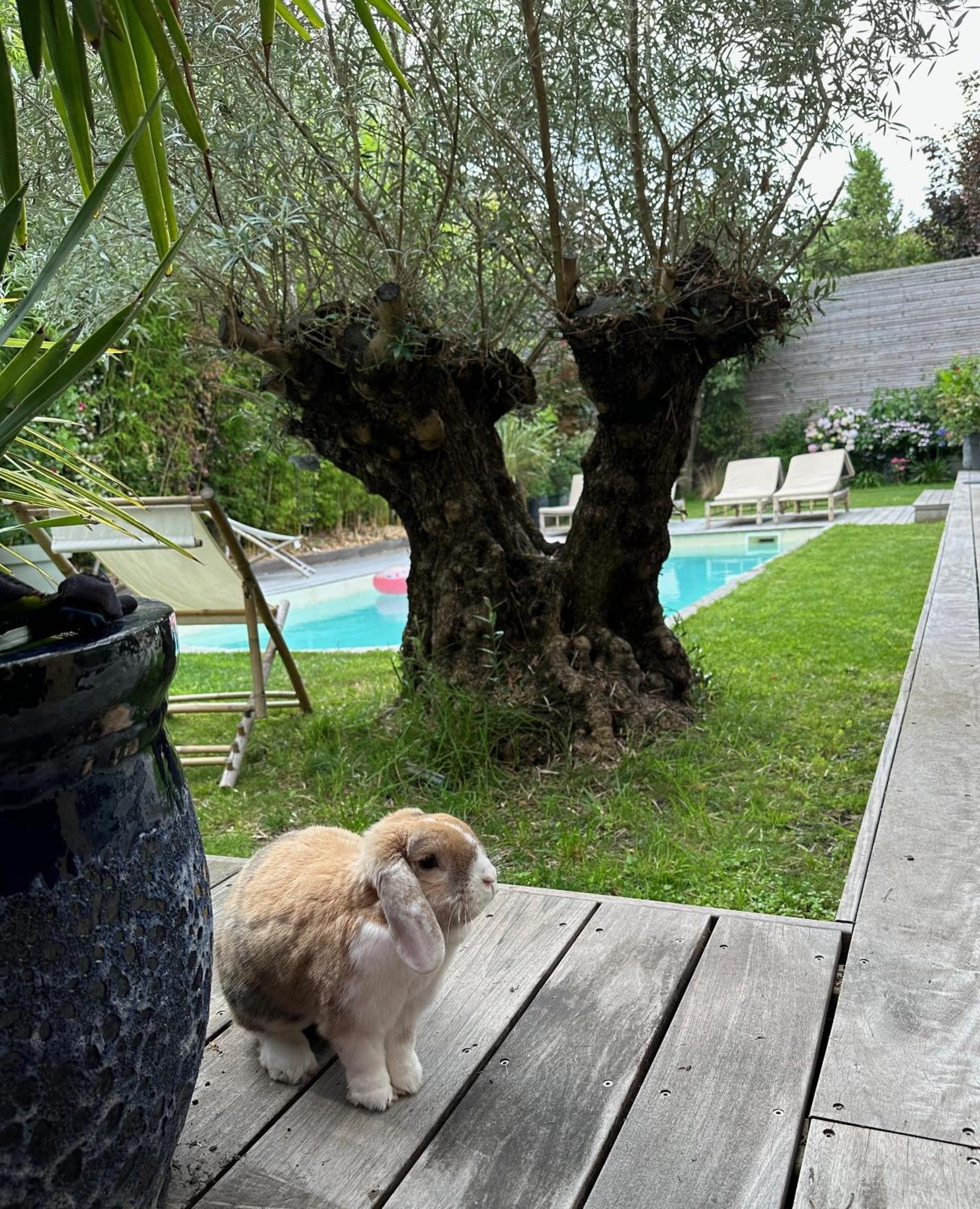 Hotel Les pénates bordelaises à Bordeaux Extérieur photo